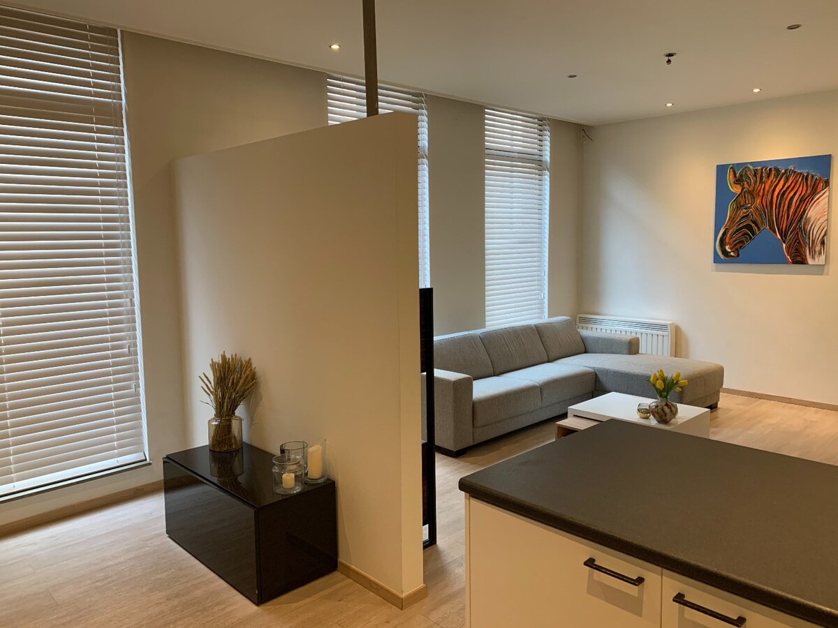 Hedendaags, gelijkvloers appartement in het centrum van Maaseik! 