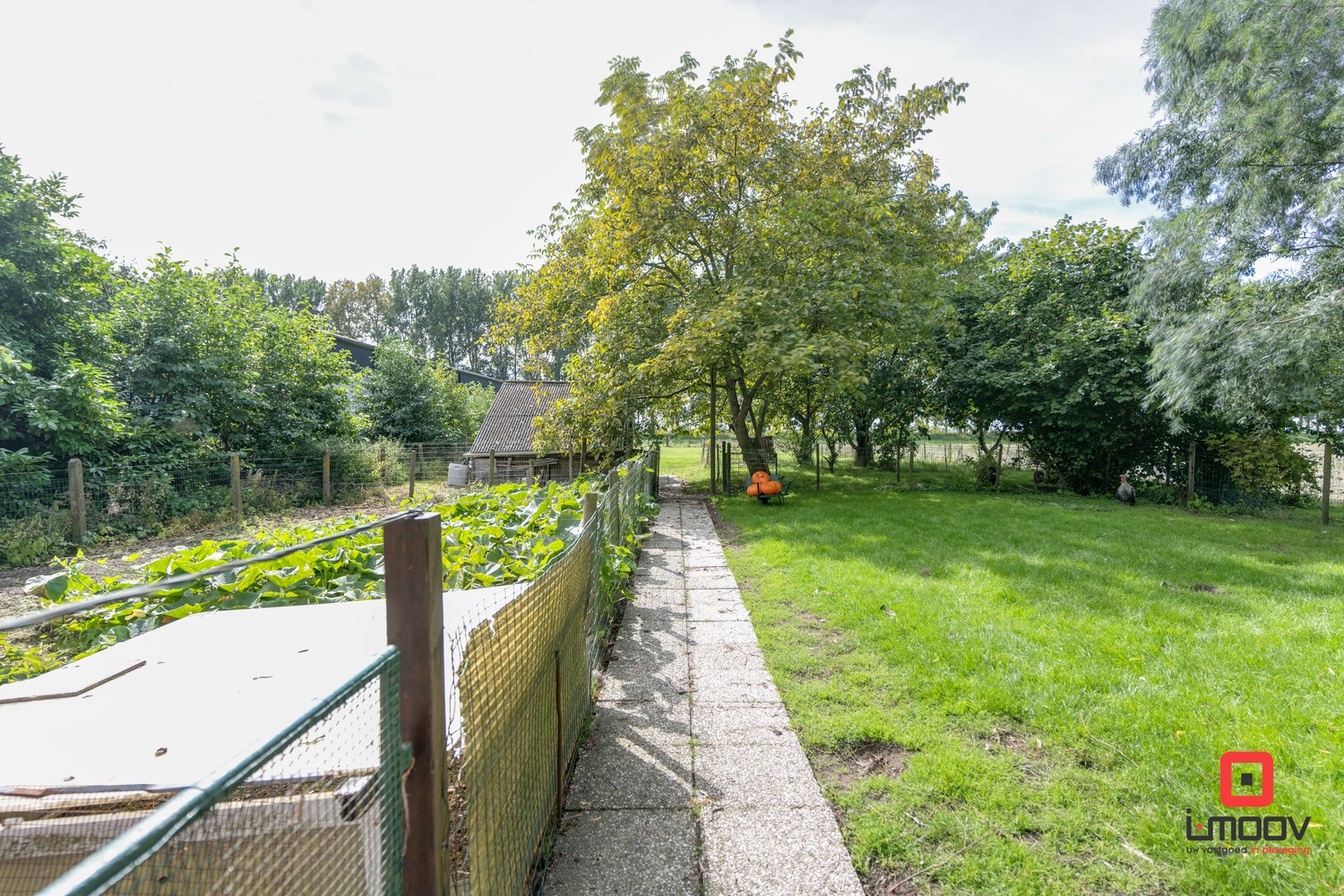 Gezellige cottage te koop in Sint-Laureins 