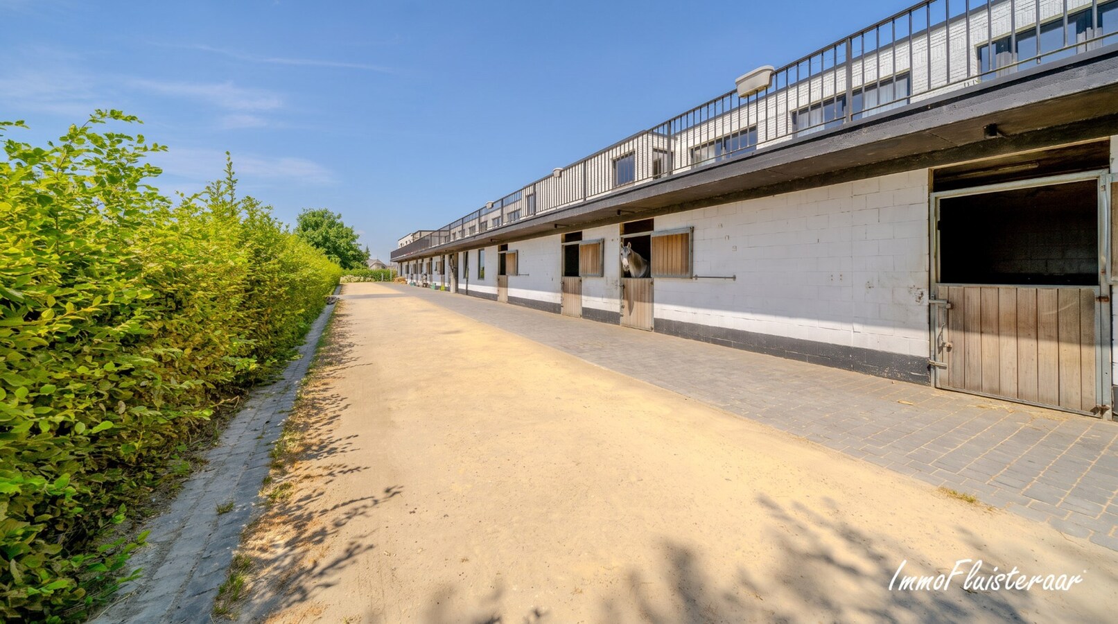 Professionele accommodatie op ca. 3,5Ha te Amougies (Henegouwen). 