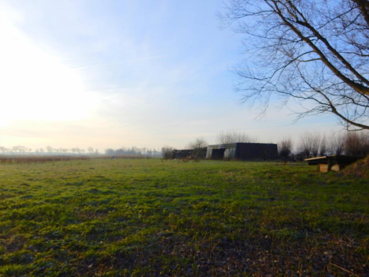 Weiland te koop Stalhille 