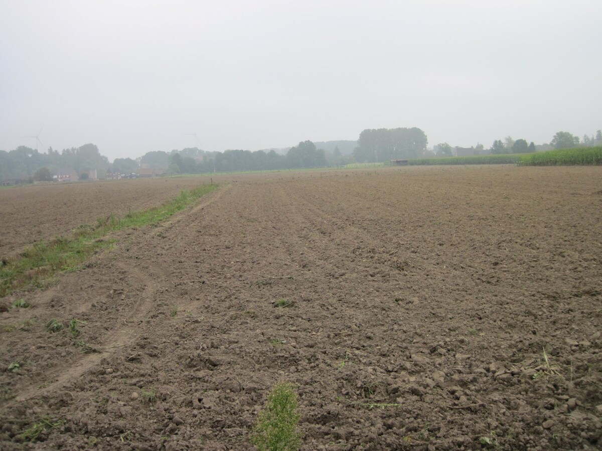 3 percelen landbouwgrond gelegen te Landskouter 