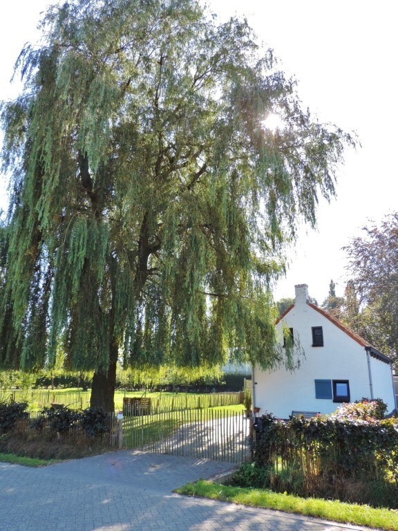 Woning te huur in Weelde