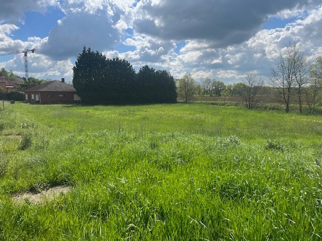 Te koop grond - Begijnendijk