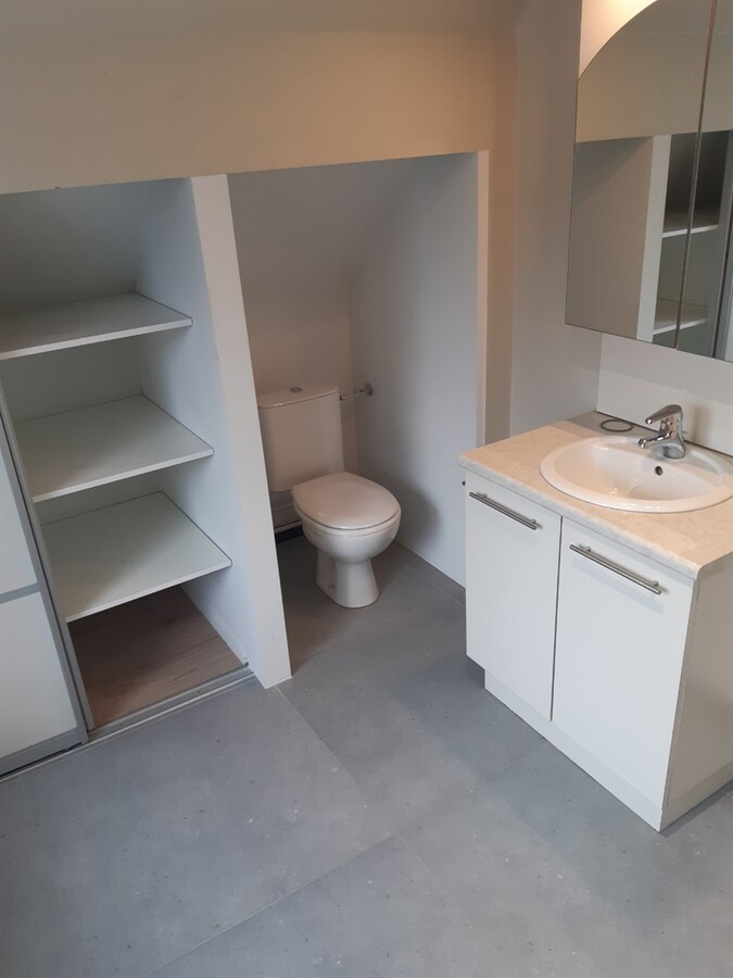Gerenoveerde woning met weide en loods. 