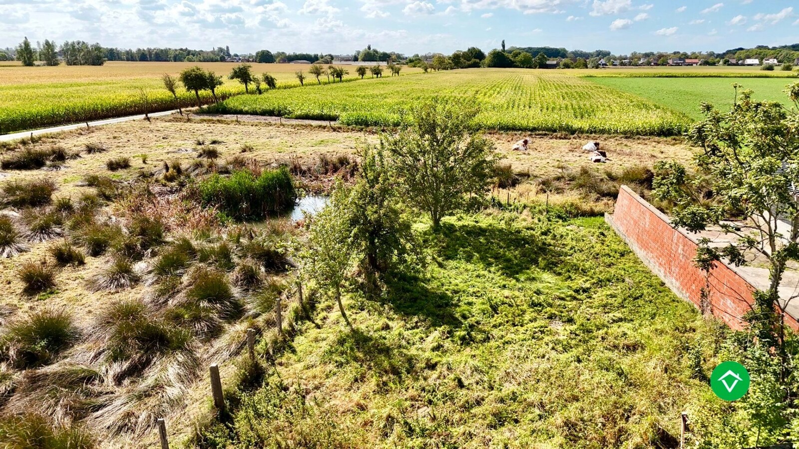 Te renoveren of te slopen woning op ruim perceel van 854 m² in Ichtegem - ideale opportuniteit voor wie wil bouwen of renoveren in een landelijke omgeving. 