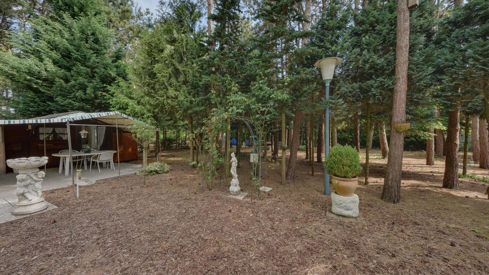 Prachtig stuk bosgrond 