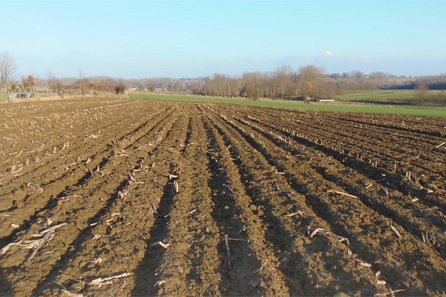 Grond verkocht in Sint-Goriks-Oudenhove