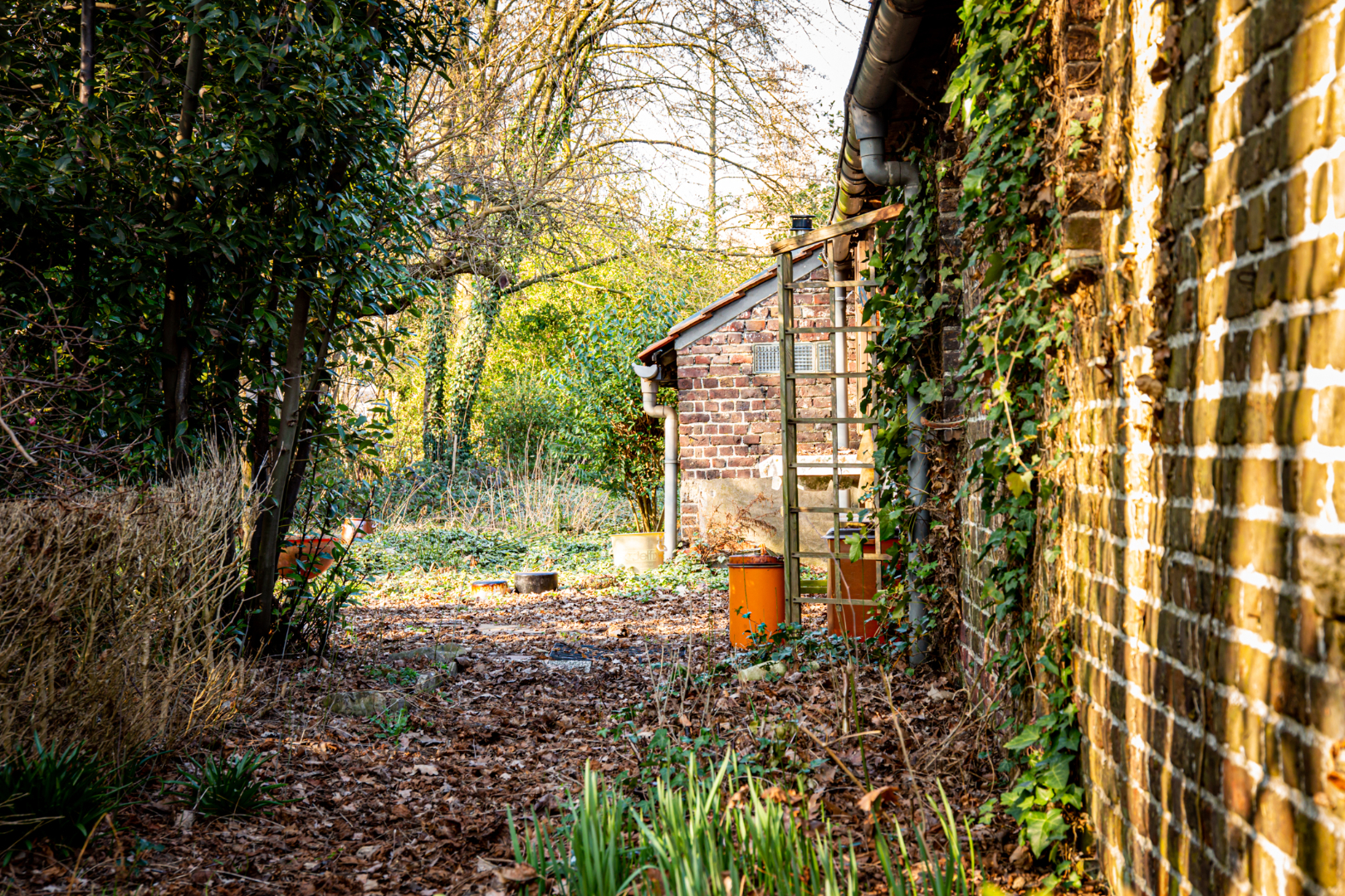 Charmante hoevewoning op 2.772 m²  op 1,5km van centrum Evergem 