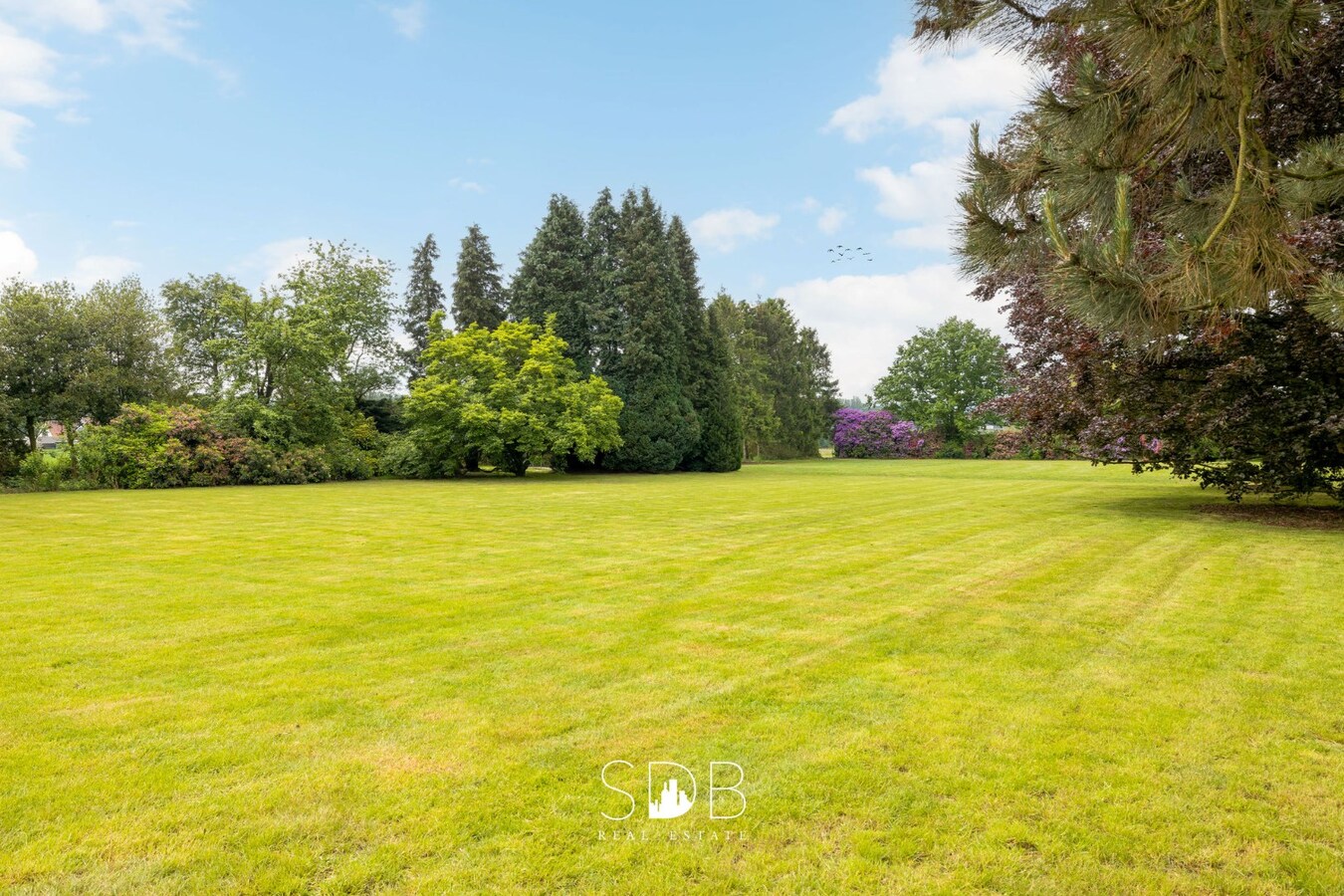 Prachtige villa met zwembad, paardenstallen, paddock en grasland op 1,3HA 