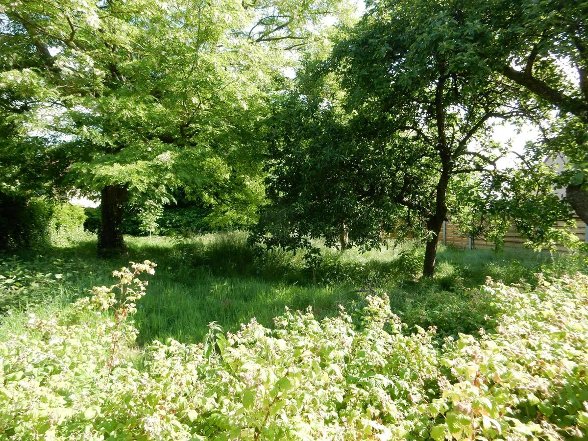 Karaktervolle woning met grote tuin 