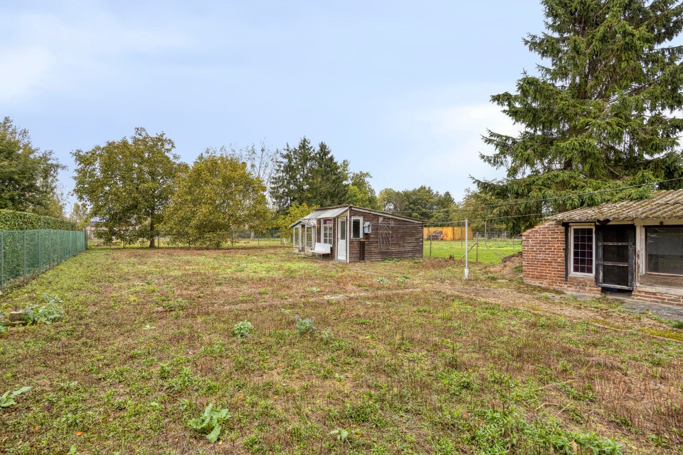 Te renoveren langgevel-hoeve op 3.536 m² in Maasdorp Boorsem 