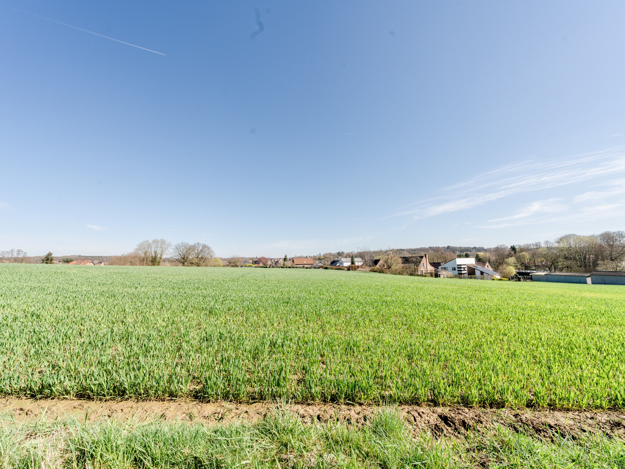 Vrijstaande woning met 3 kamers te midden het groen 