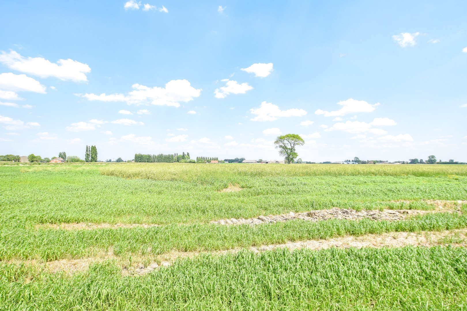 Recent met smaak afgewerkte alleenstaande woning 