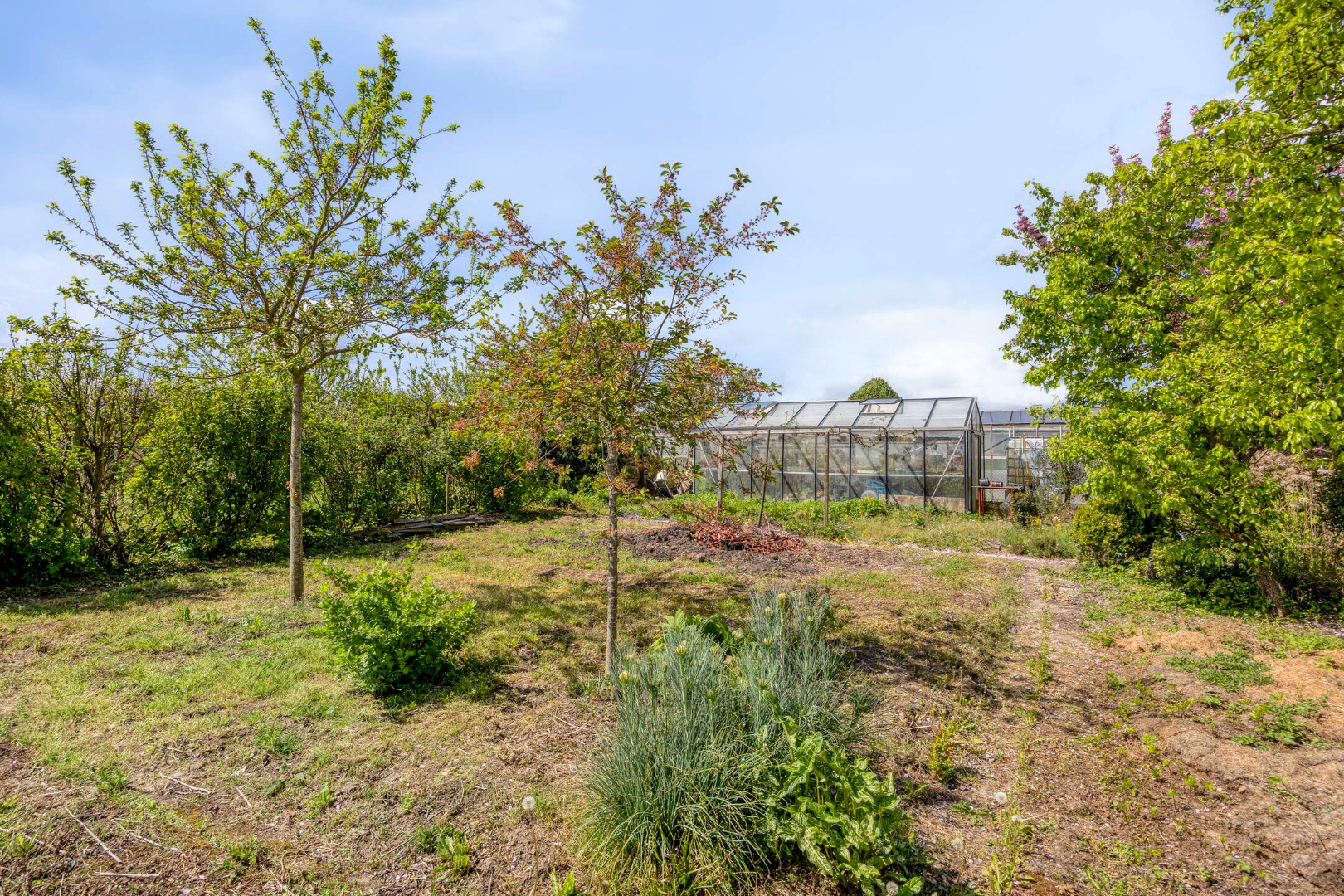 Open bebouwing met prachtige tuin en 4 ruime slaapkamers, garage, tuin en terras in Bierbeek – EPC 272kWh/m² 