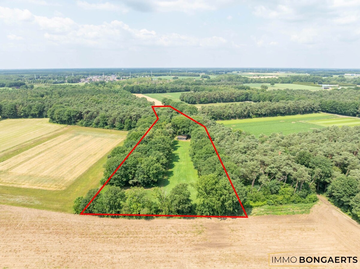 Natuur- en bosgrond met vakantiewoning 
