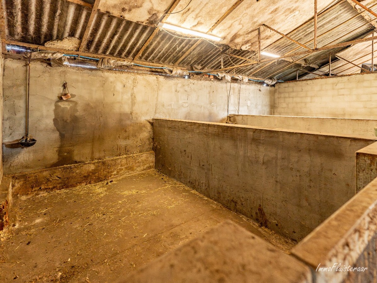 Gerenoveerde woning met praktijkruimte en paardenstal op 9.019 m2 te Balen 