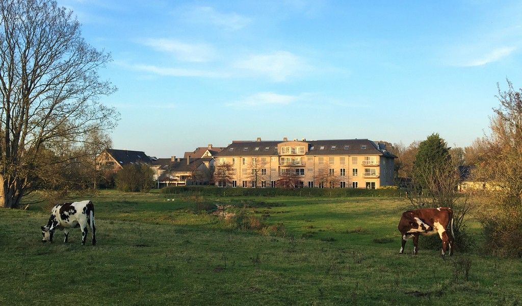 Kantoren te huur op zichtlocatie langs N9 te Melle