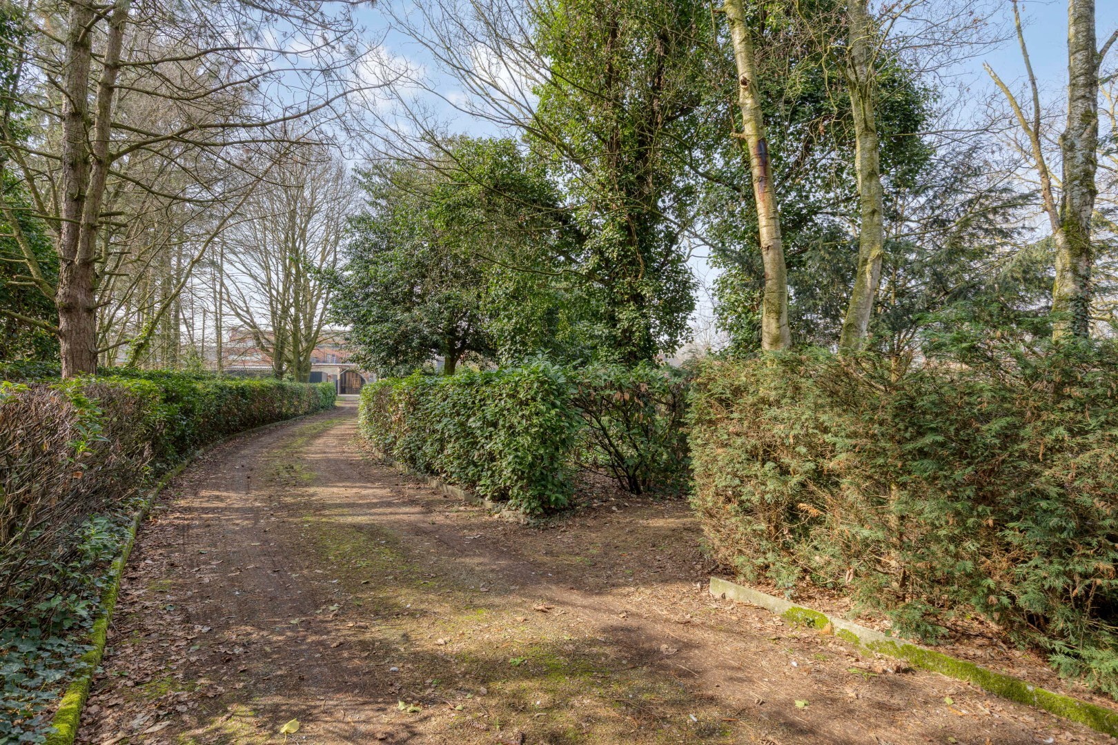 Handelsgelijkvloers met achter-inrit op commerciële ligging in centrum Geel 