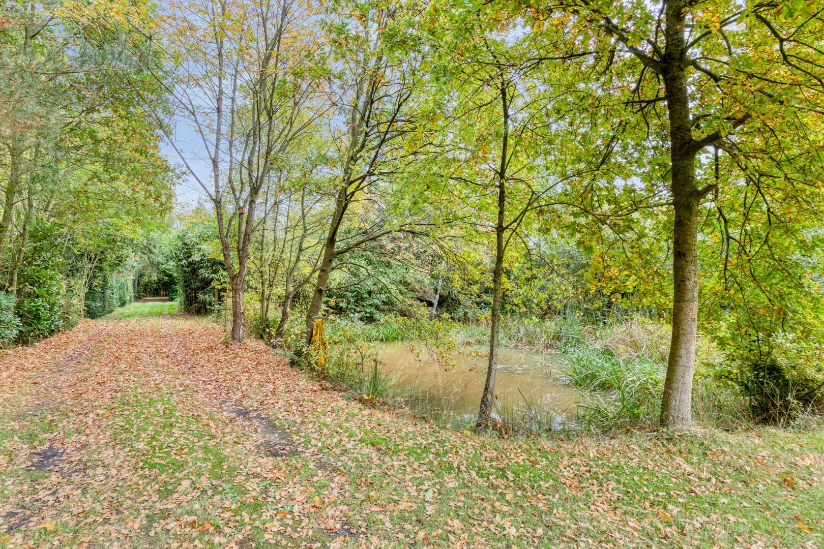 Uniek perceel van 2 ha. en 34 are met 3 prachtige vijvers 