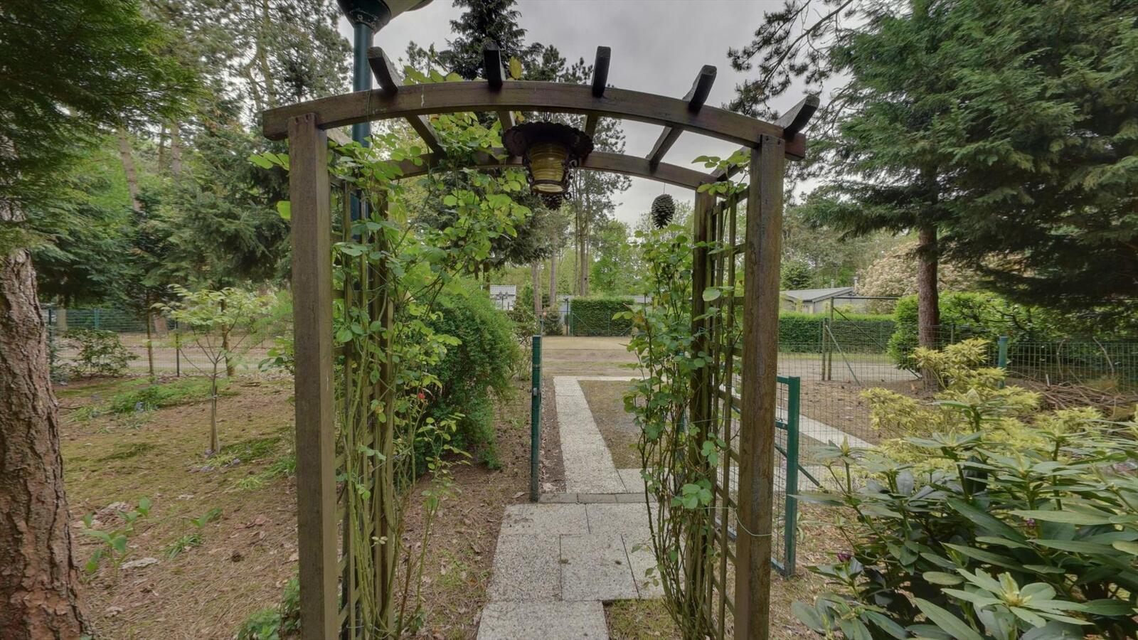 Prachtig stuk bosgrond 