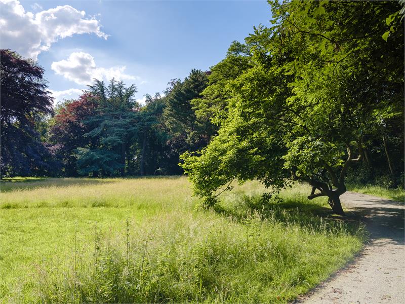 Rijhuis in groene omgeving Sint-Amandsberg 