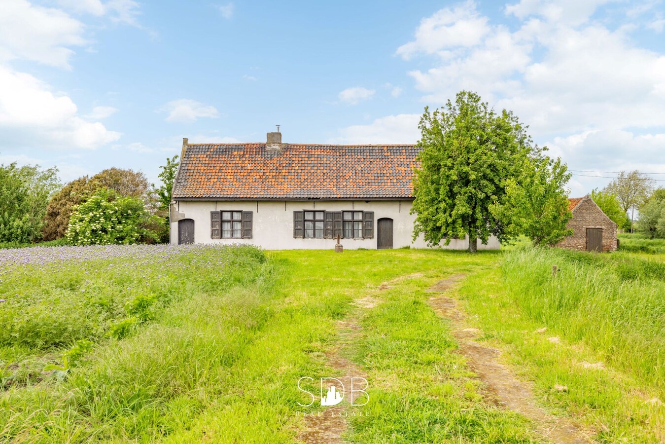Prachtige hofstede met hoeve, bakhuisje, schuur en graslanden op circa 2,2 HA 