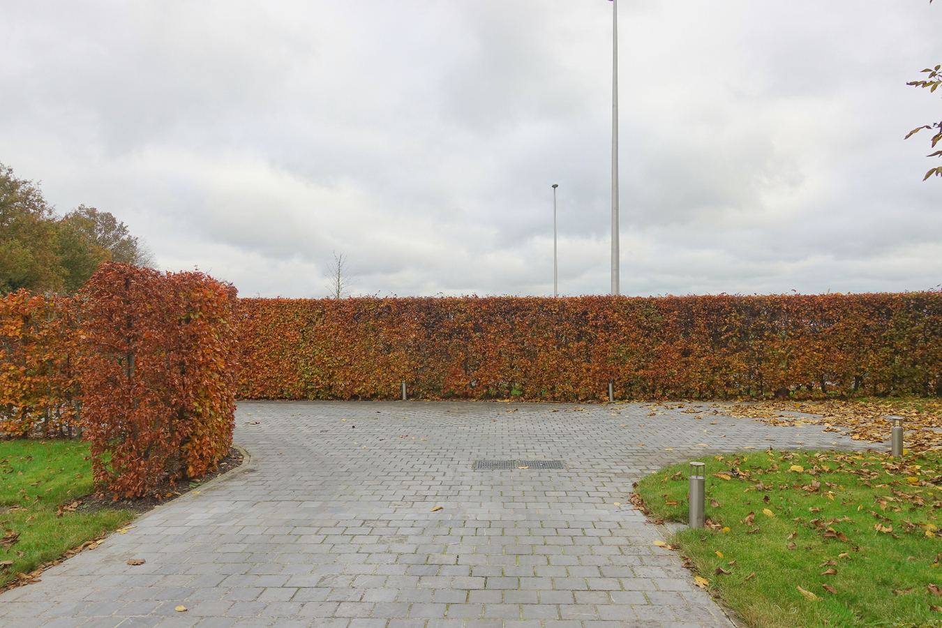 Goed gelegen woning met grote tuin 