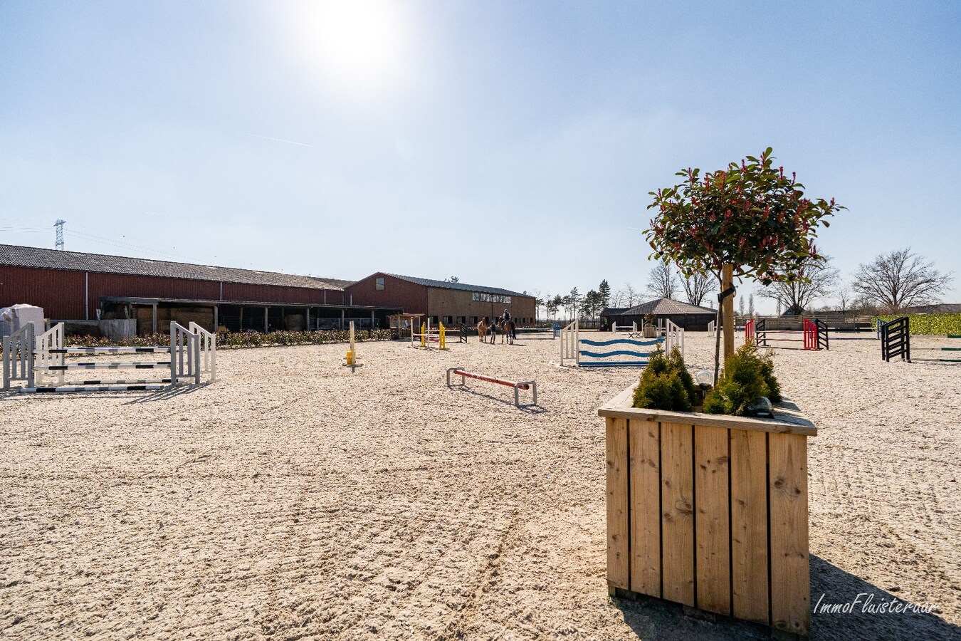 Complete paardenaccommodatie met studio op ca. 1,1ha te Bree 