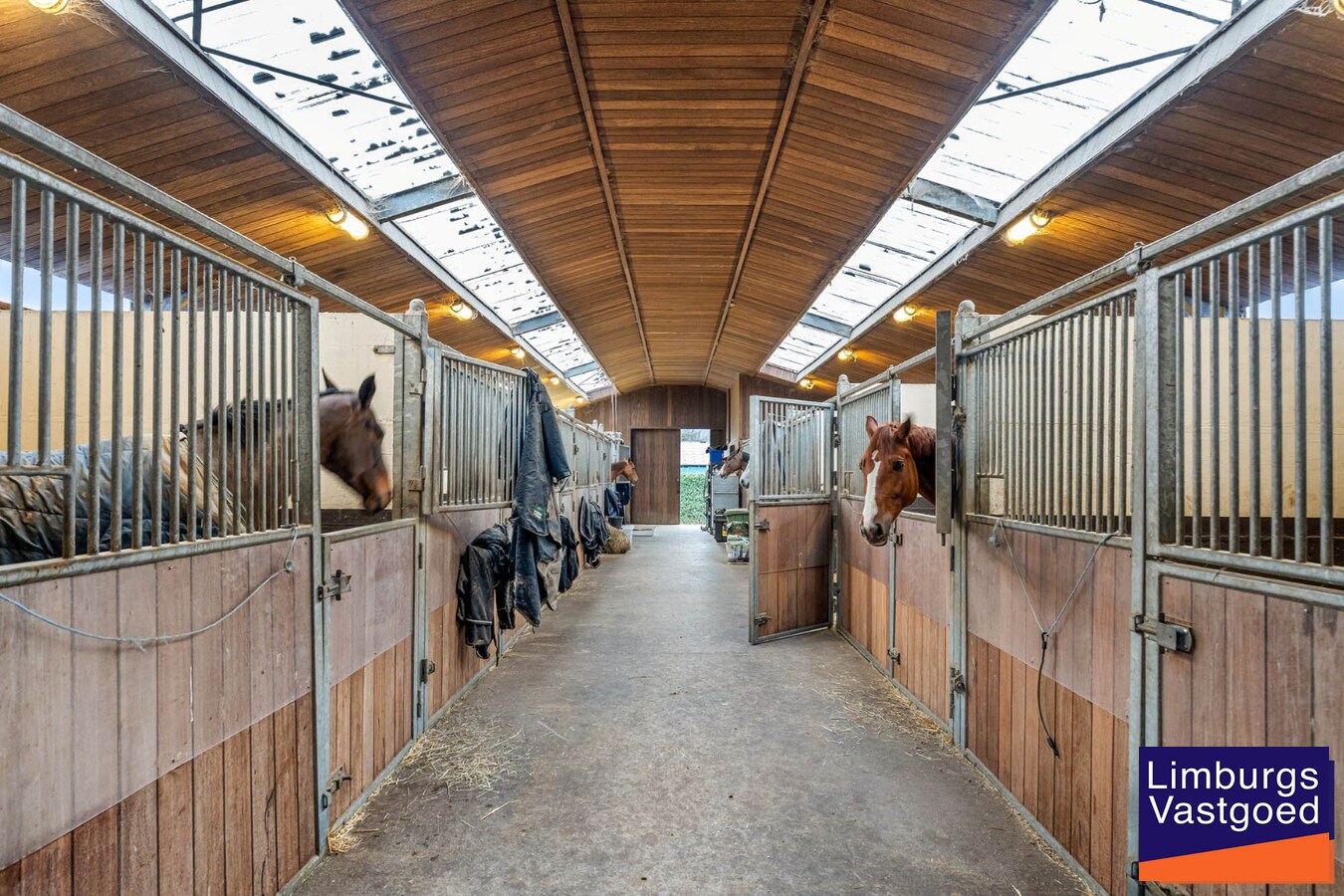Landelijk gebouwencomplex voor paardenhouderij, op ong. 3ha 50a met stallen, weides/paddock, binnen-en buitenpiste, en woning. 