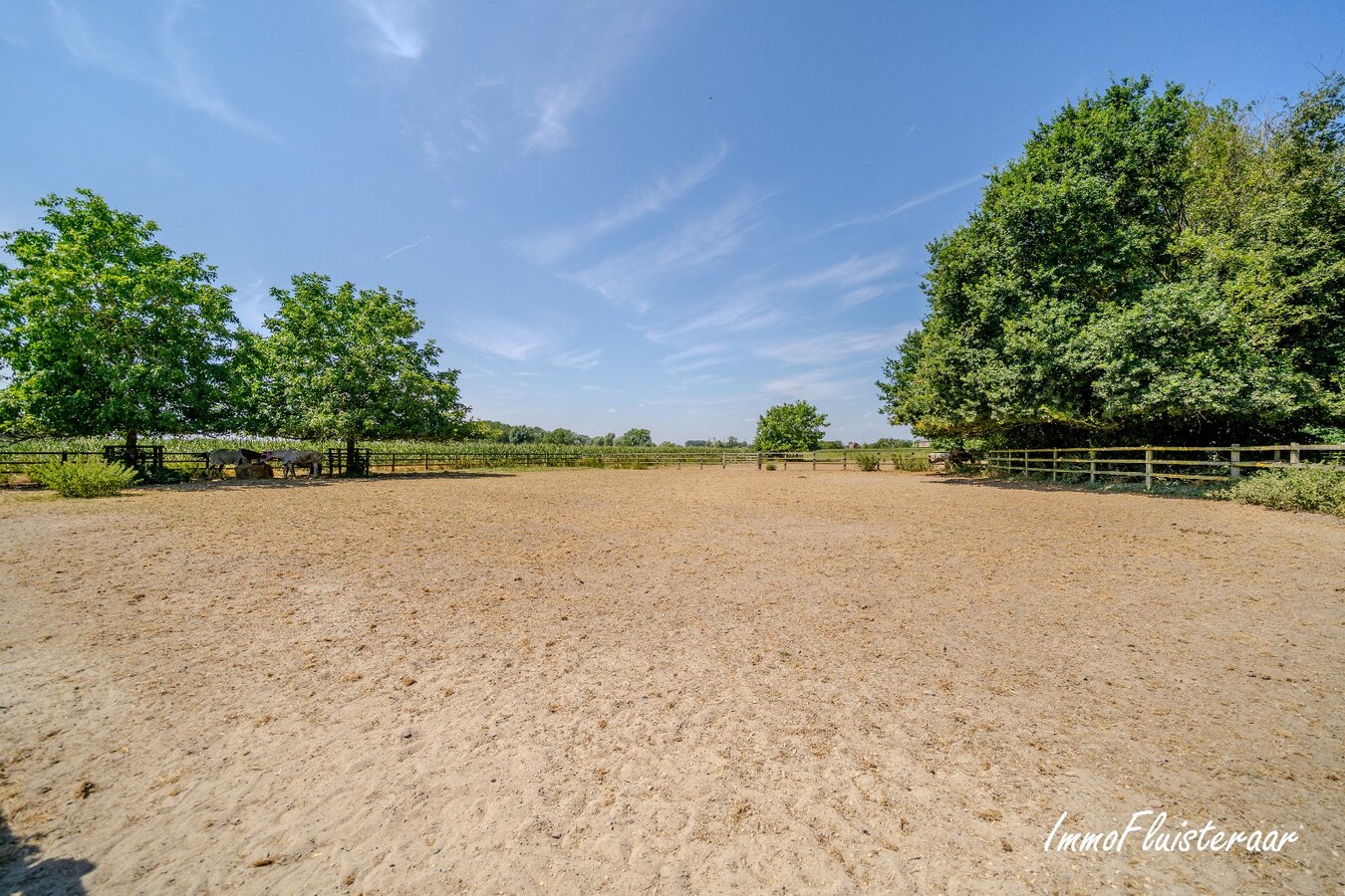 Unieke hippische accommodatie met 5 appartementen/studio’s op ruim 2,5 ha te Amougies (Henegouwen) 