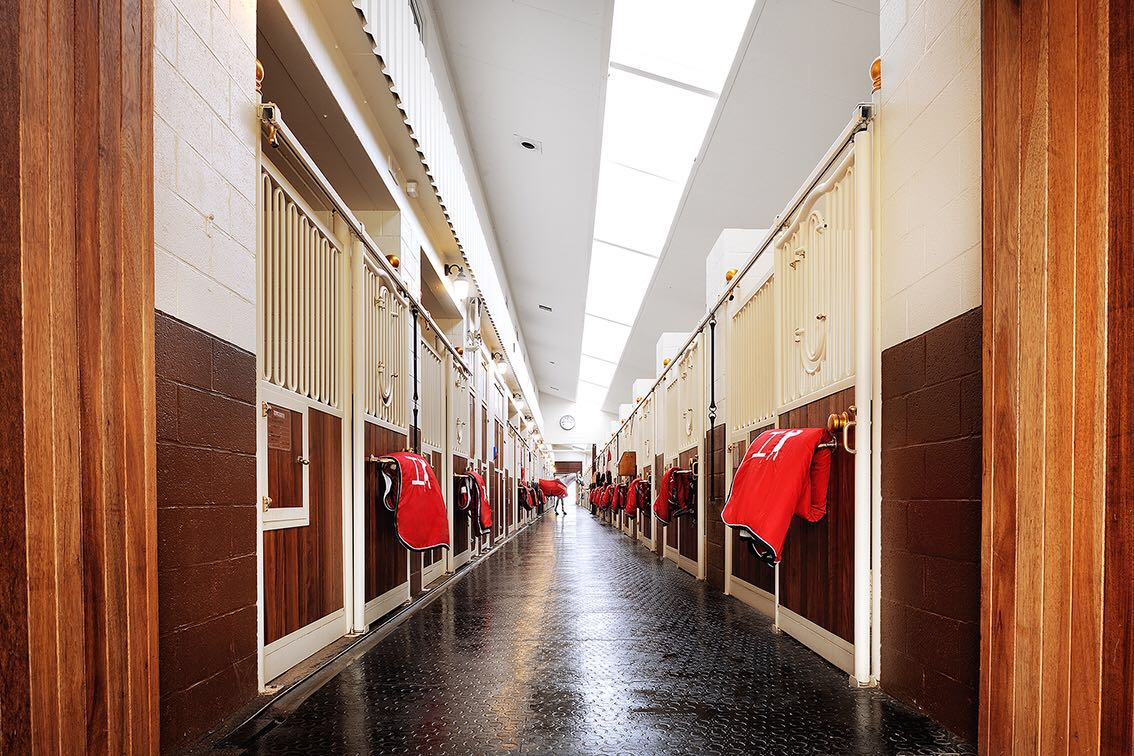 Exclusief professioneel hippisch centrum op ca. 3,5ha te Fleurus (Henegouwen; België) 