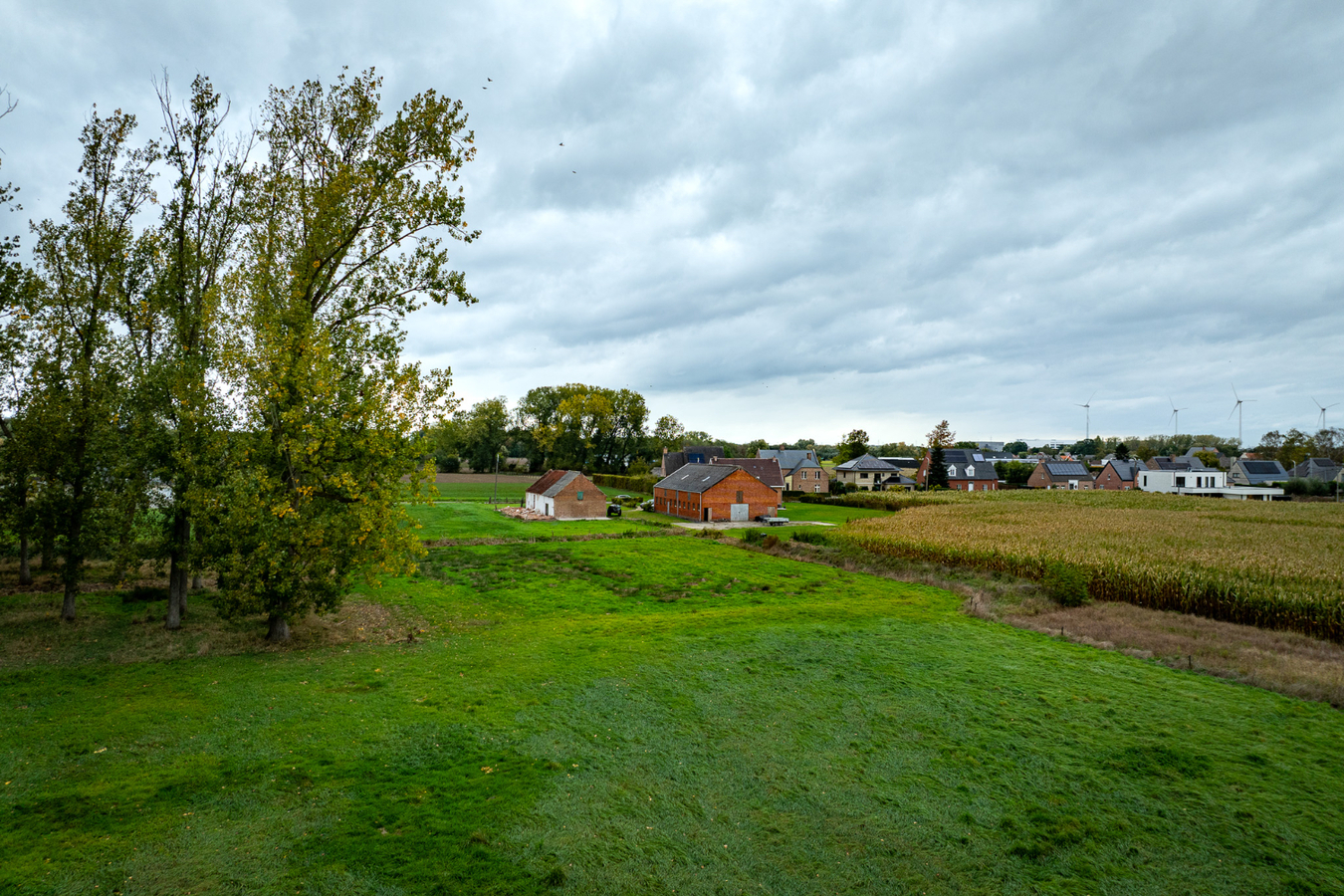 Landelijk gelegen eigendom met uitzonderlijk ruime bijgebouwen op een perceel van ca. 2,02 ha in Puurs-Sint-Amands BEZOEKDAG OP 14 NOVEMBER VAN 10U TOT 14U OP AFSPRAAK 