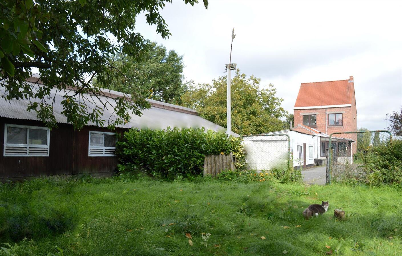 Te renoveren woning met loods en weide op 7.327m² te Zele 