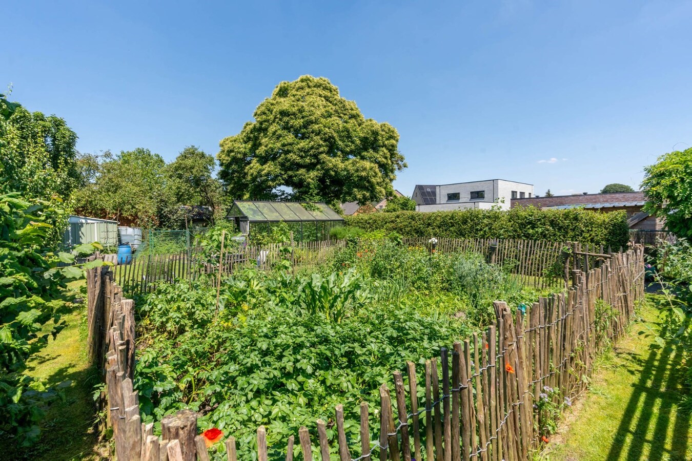 Gelijkvloerse woning met drie slaapkamers 