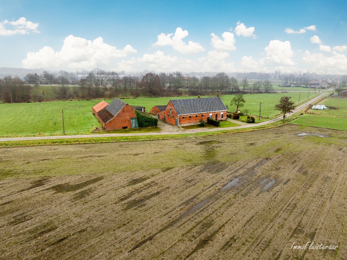 Ferme caractéristique avec une grande grange sur environ 2 hectares à Hoogstraten (achat de terrain supplémentaire d'environ 4 hectares possible). 