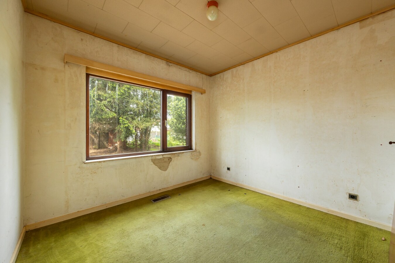 Charmante laagbouw woning met ruime tuin te Oelegem! 
