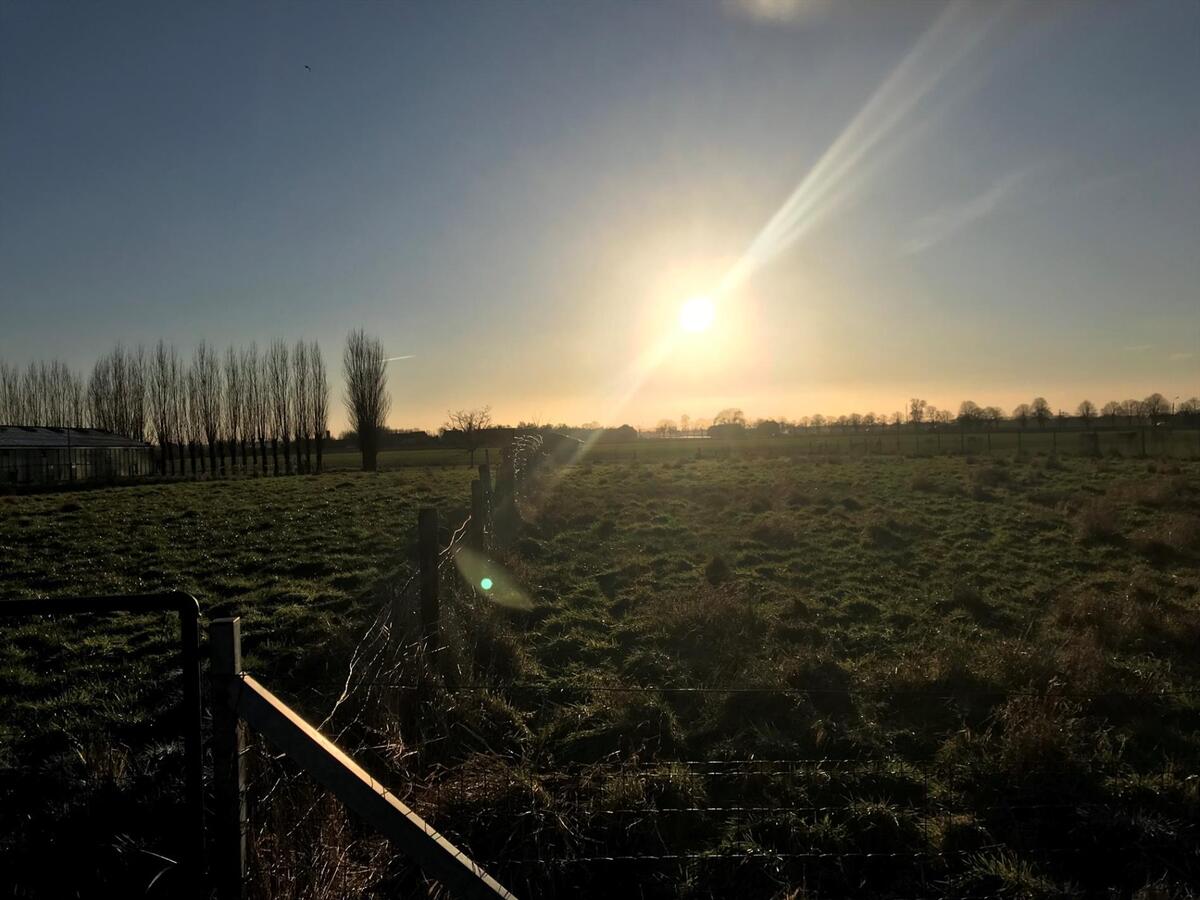 Landelijk gelegen woning met bijgebouwen op 9070m² 