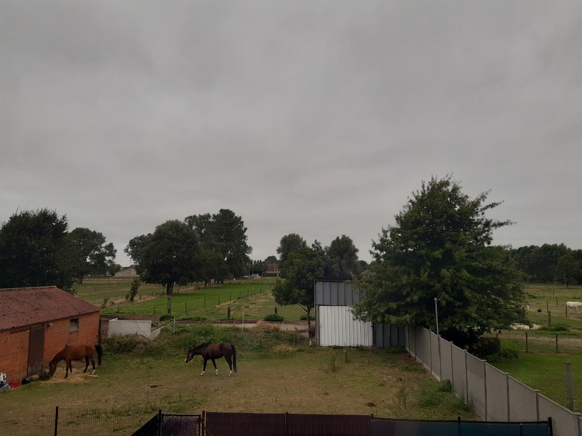 Instapklare nieuwbouwwoning met EPC A in Eke 