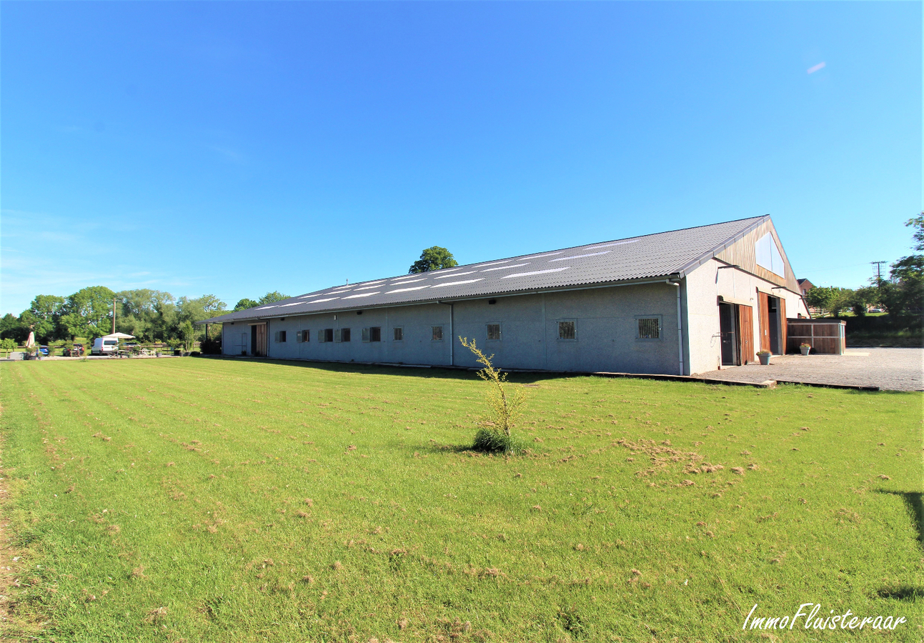 Professional recently built equestrian center on more than 3ha at Hannut (Luik/Liège; Belgium) 