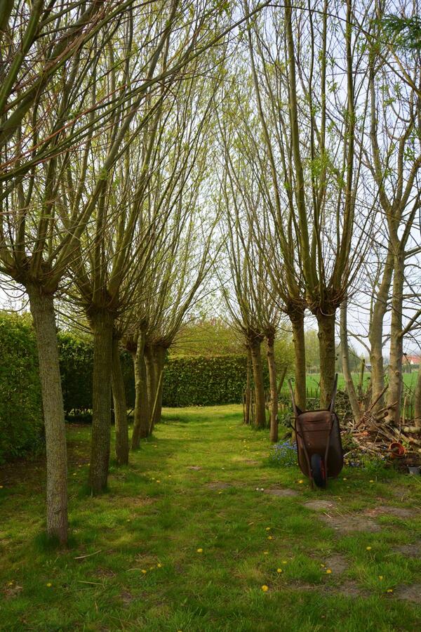 Instapklare woning met 5 slaapkamers op een grondopp. 3.349m² 