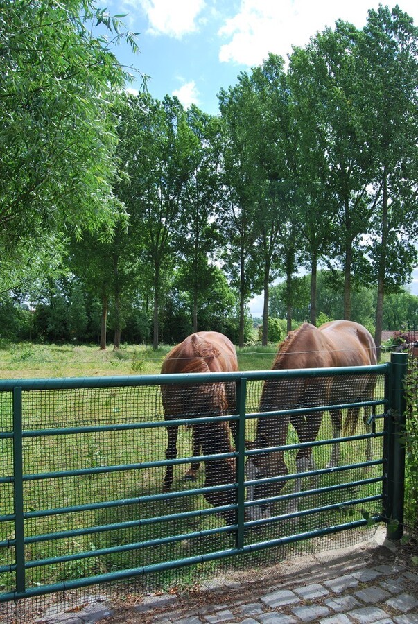 Charmante hoeve op ca. 1,1ha te Geraardsbergen 