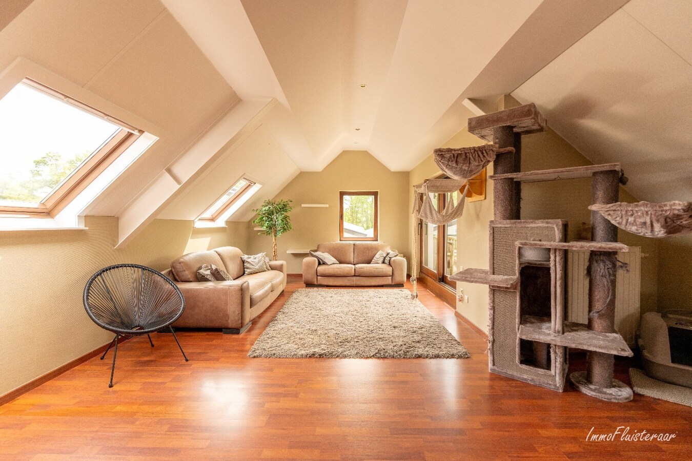 Prachtige villa met hippische accommodatie en binnenpiste op ca. 2ha te Paal 