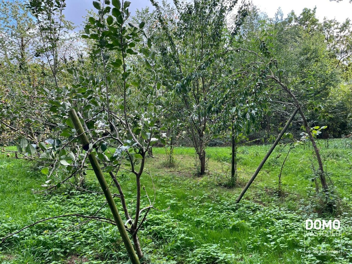 UNIEK DOMEIN MET OFF-GRID VAKANTIEWONING, SCHUUR EN 2 VIJVERS OP 1 HA 41 A 