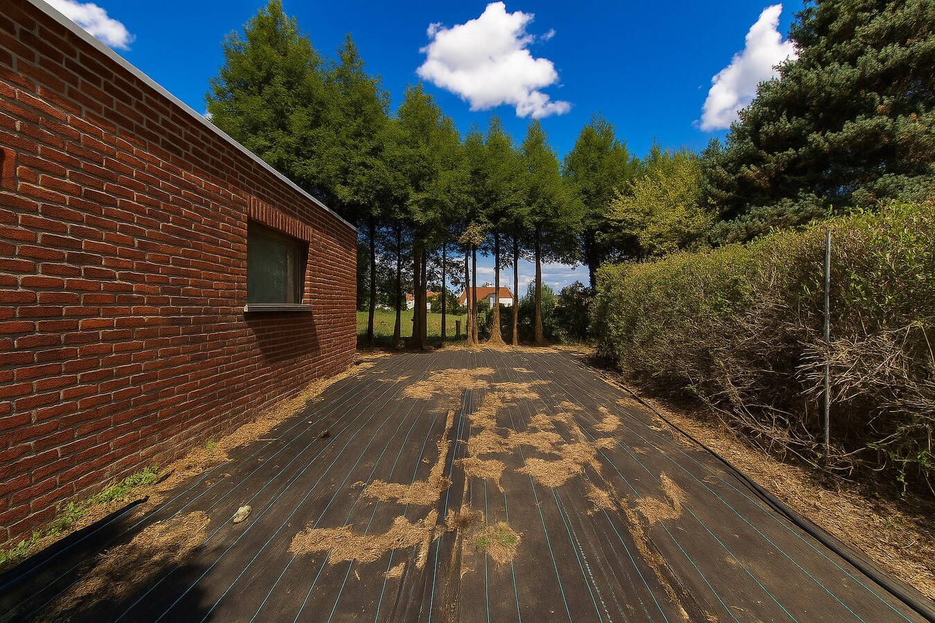 Charmante en ruime halfopen bebouwing met 5 slaapkamers, garage, tuin én topligging in hartje Sint-Niklaas te koop! 