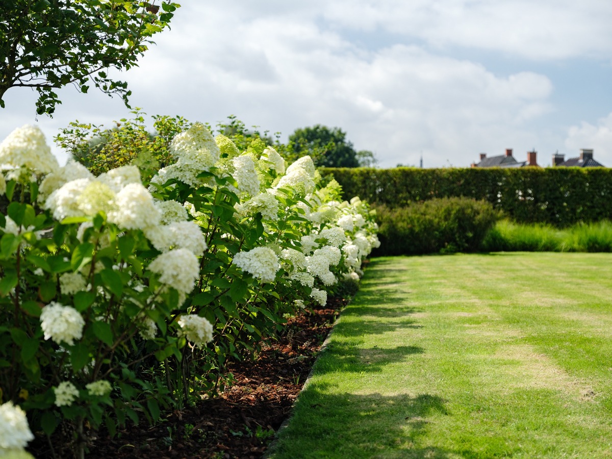 Uitzonderlijke moderne villa - architectenwoning 