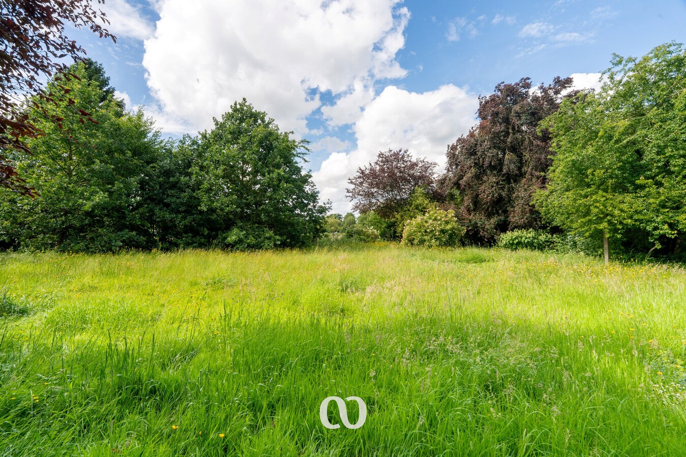 Ruime woning op meer dan 6.500 m² in Avelgem 