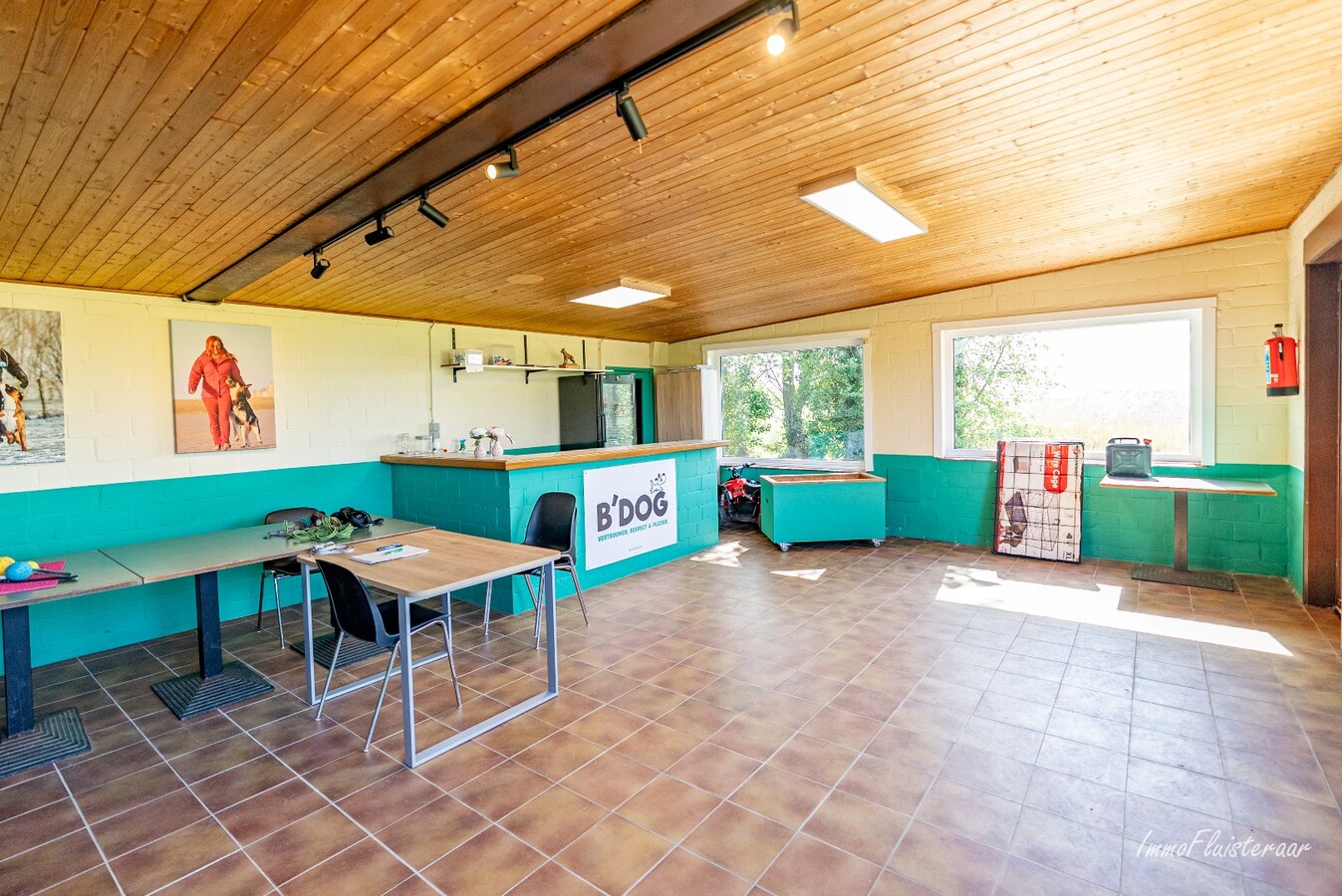 Magnifique domaine avec une villa neuve et un chenil et une pension pour chats agréés à Diksmuide 