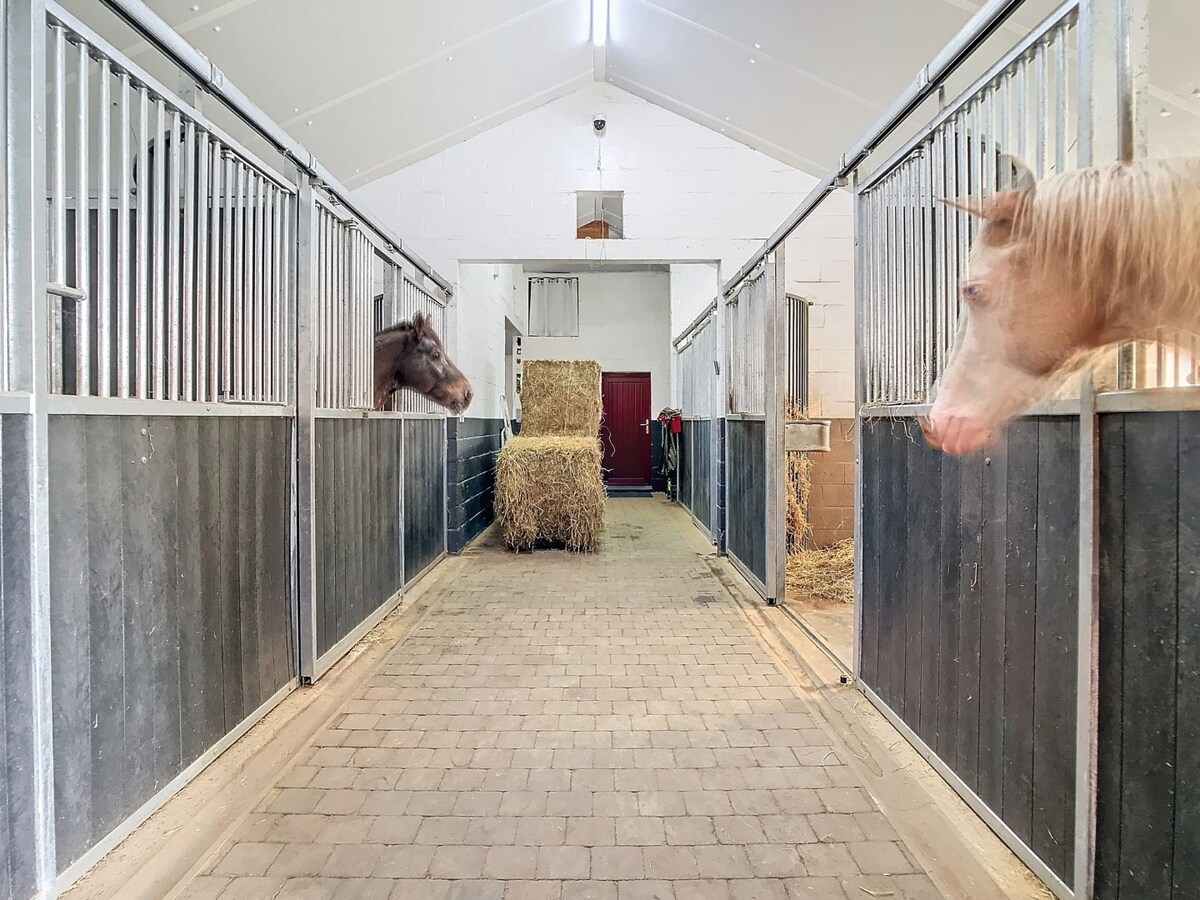 Paardeneigendom met villa, luxe en comfort in Harzé/Aywaille op ca.8,5ha 