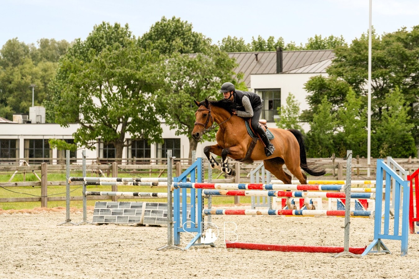 Prachtige villa met hippische accommodatie en graslanden op +/- 9 ha 