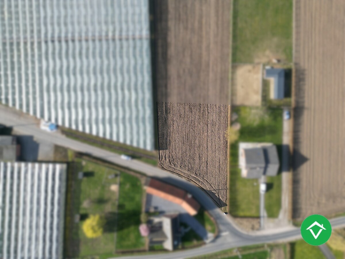 Bouwgrond (1291m²) op één rustige, gunstige ligging te Gits 